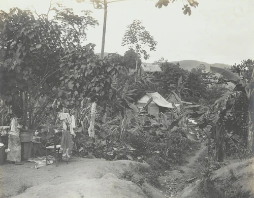 Tropical foliage and native huts. Canal Zone by Unidentified Photographer, photograph, 1912