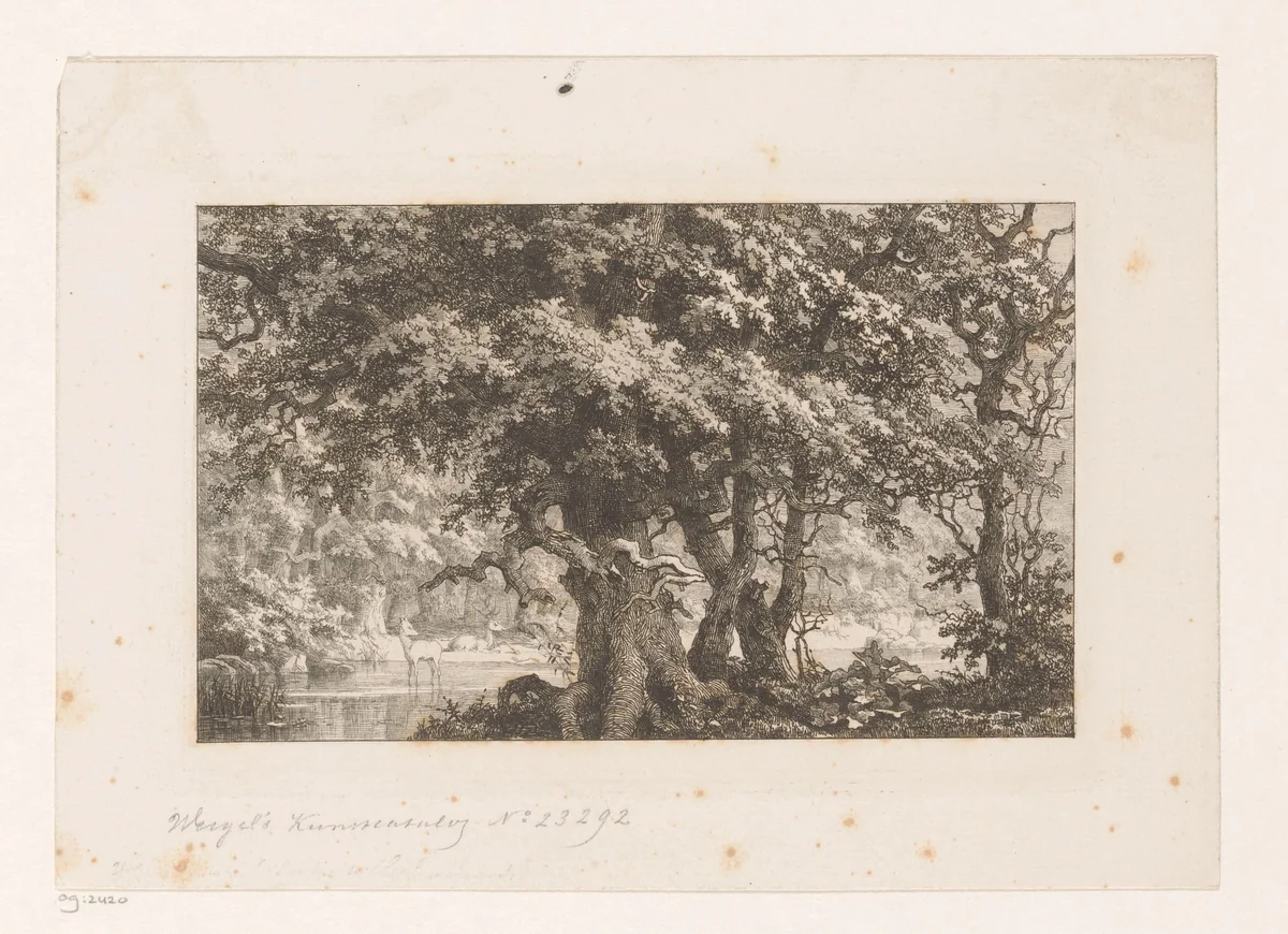 Bosgezicht met herten in een vijver by Joseph Hubert Blees, print, 1861