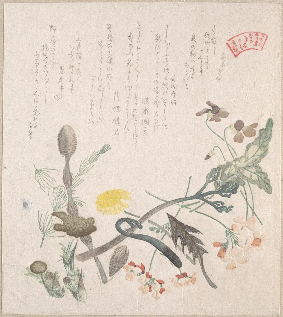 Violets, Primroses and Other Spring Flowers by Kubo Shunman (窪俊満), print, 1800-1820