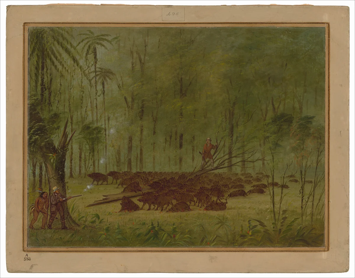 A Fight with Peccaries - Caribbe by George Catlin, painting, 1854-1869