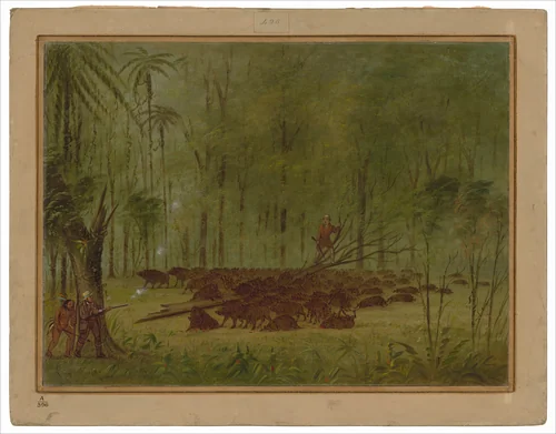 A Fight with Peccaries - Caribbe by George Catlin, painting, 1854-1869