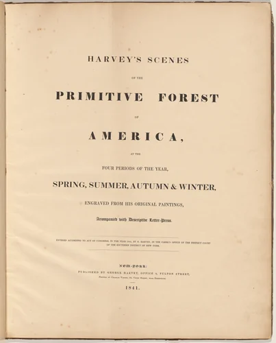 Harvey's Scenes of the Primitive Forest by William James Bennett, volume, 1841