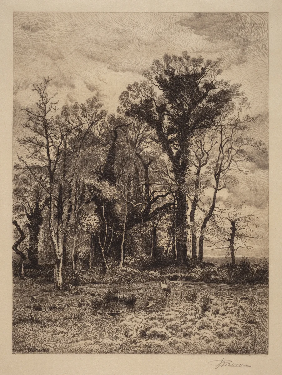 The Edge of the Swamp by Peter Moran, print, 1886