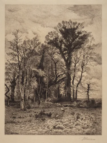 The Edge of the Swamp by Peter Moran, print, 1886