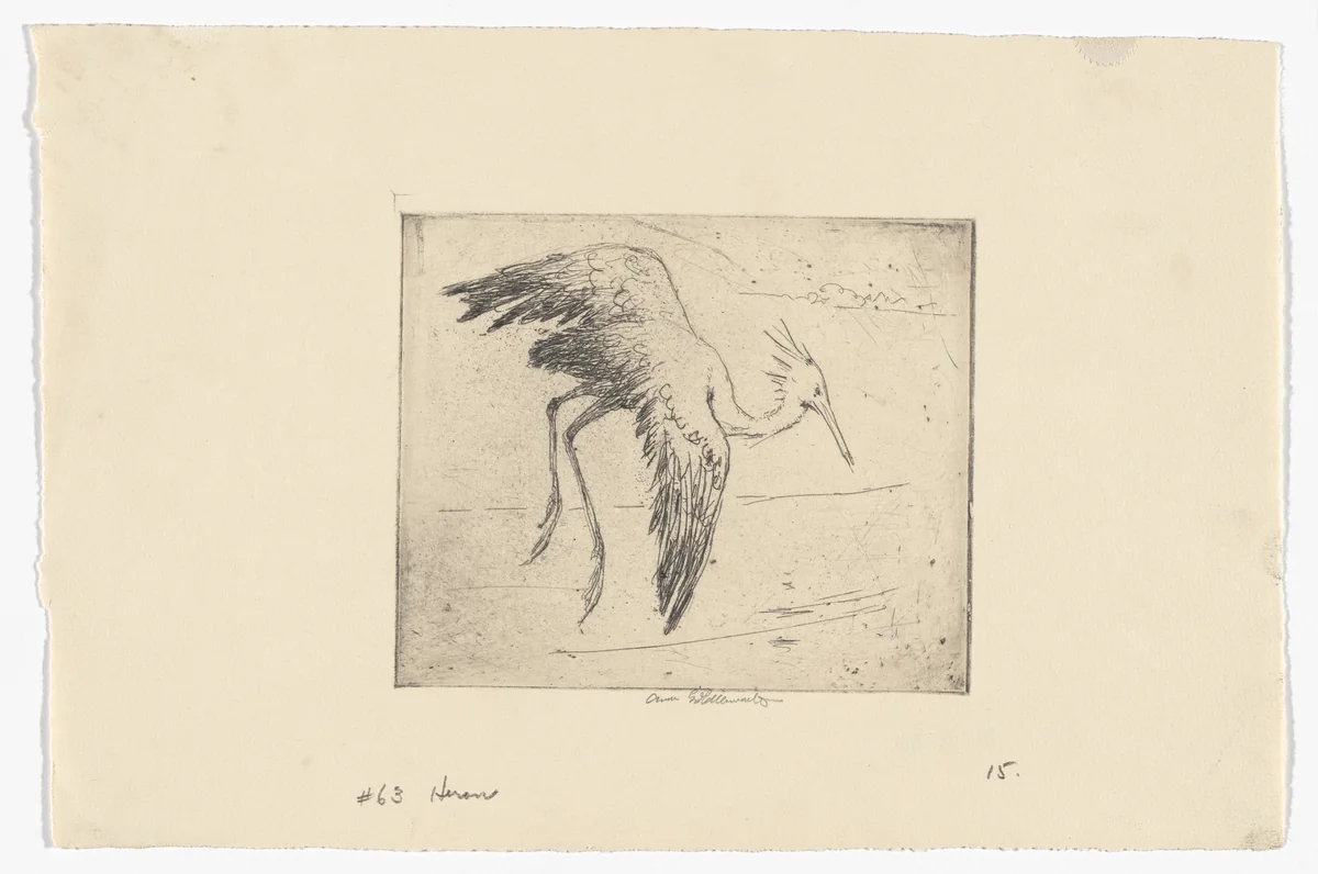 Heron Rising Over the Alabama by Anne Goldthwaite, print, 1929