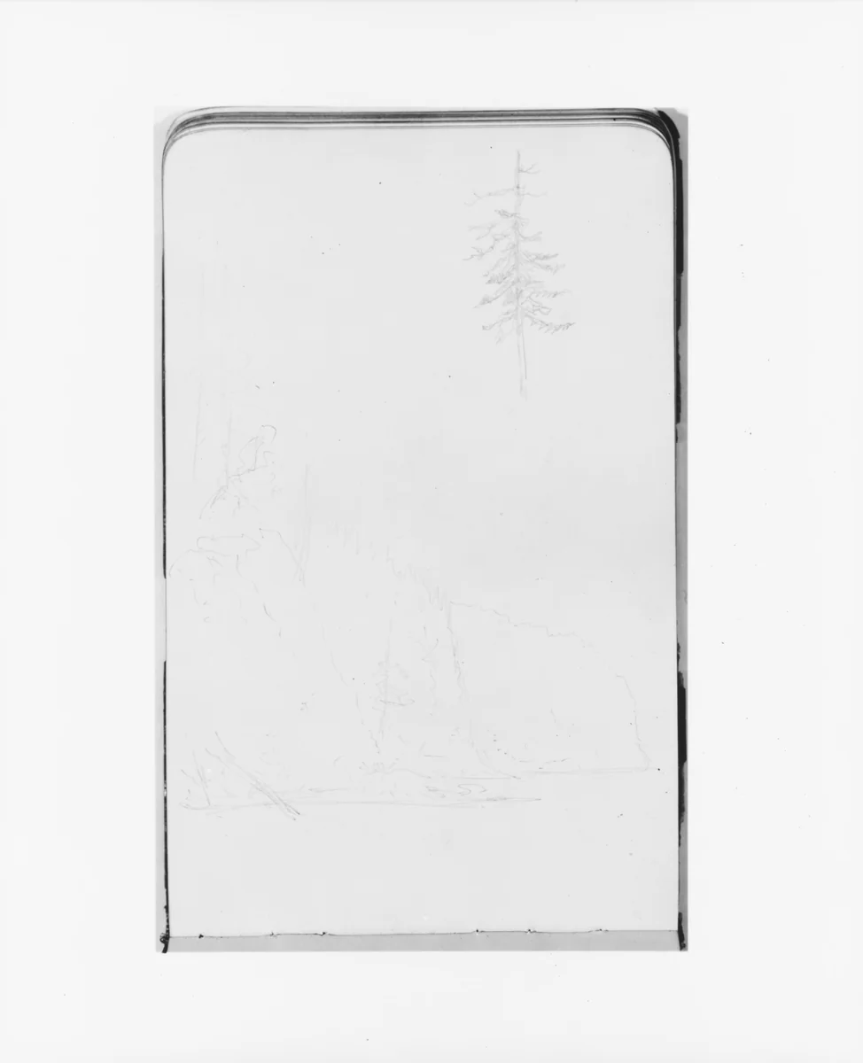 Sketches of a Cliffside and a Tree (from Sketchbook) by Albert Bierstadt, artwork, 1890