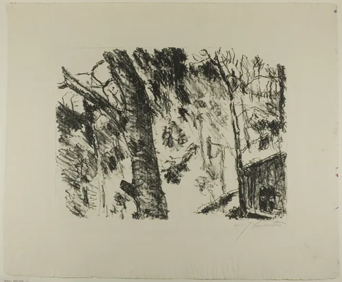 Beech Woods, from Early Spring in the Mountains by Lovis Corinth, print, 1922