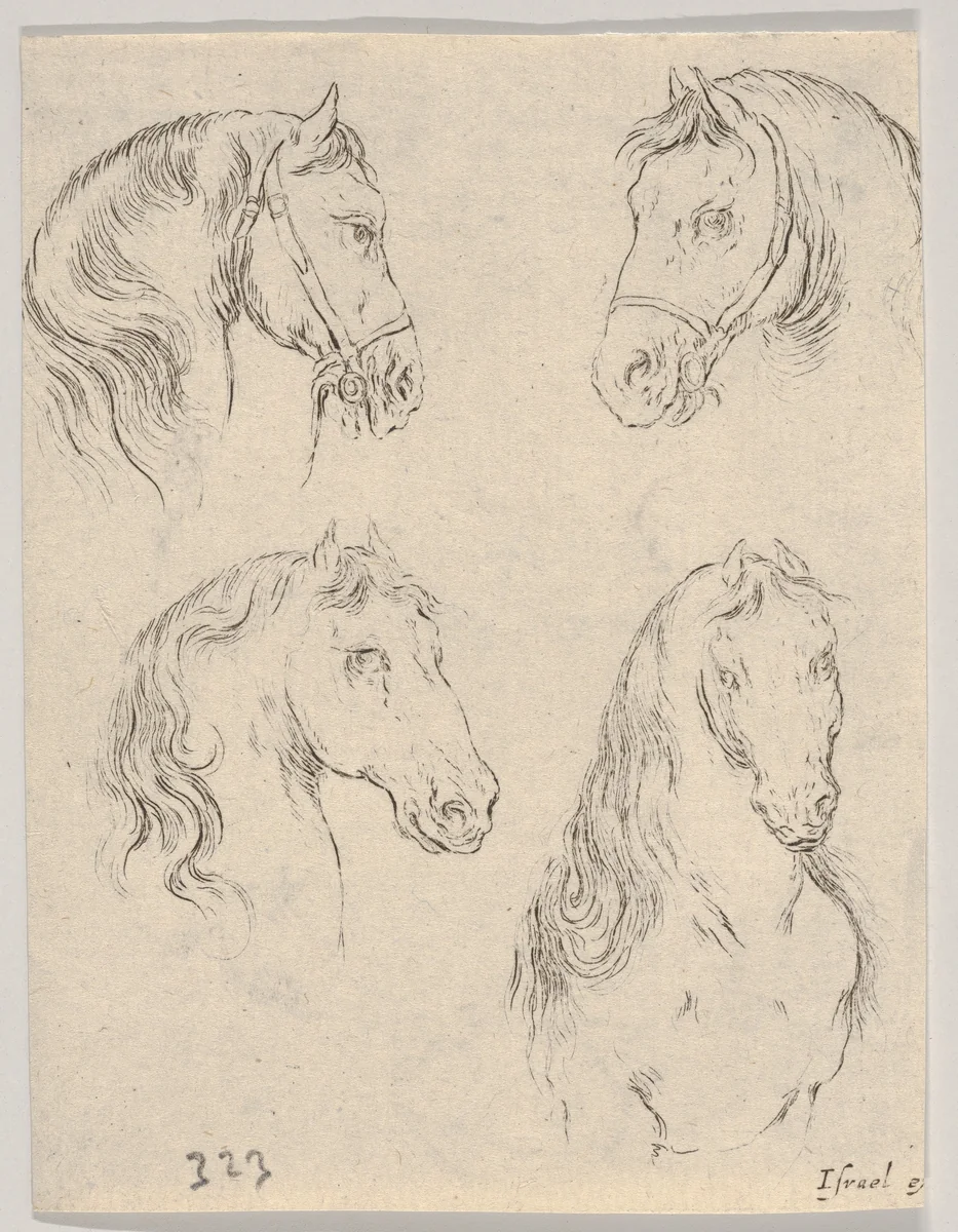 Plate 16: Four studies of horse heads, from "Various heads and figures" (Diverses têtes et figures) by Stefano della Bella, print, 1650