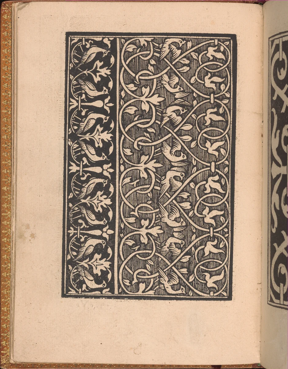 Convivio delle Belle Donne, page 7 (verso) by Nicolò Zoppino, book, 1532