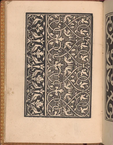 Convivio delle Belle Donne, page 7 (verso) by Nicolò Zoppino, book, 1532