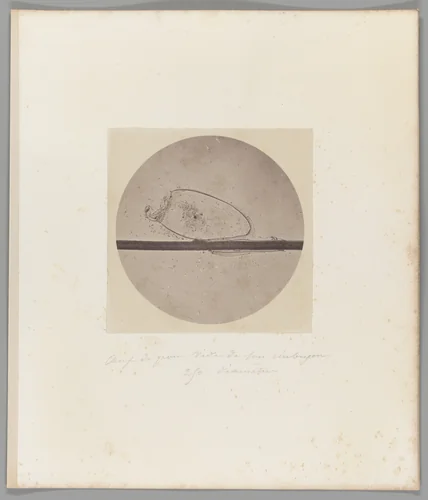 [Untitled] by Auguste-Adolphe Bertsch, photograph, 1853-1857