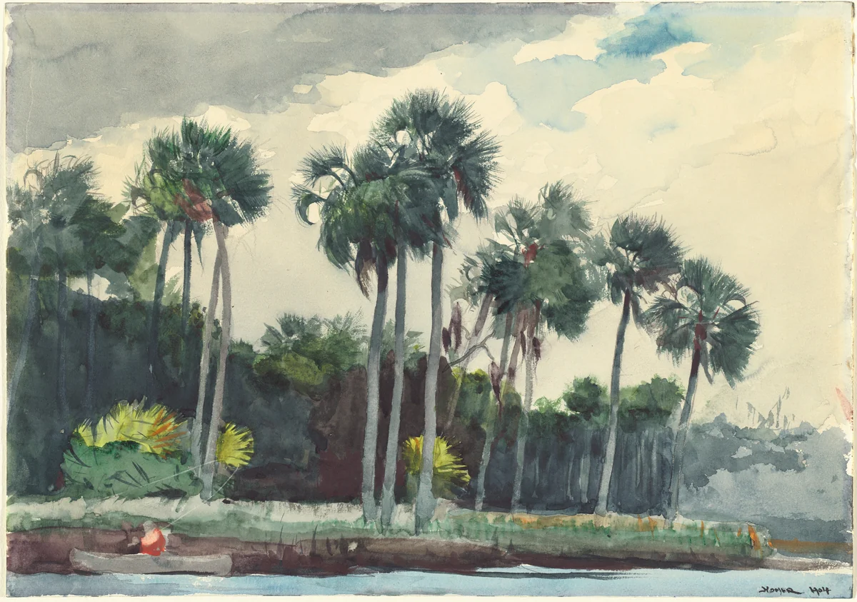 Red Shirt, Homosassa, Florida by Winslow Homer, drawing, 1904
