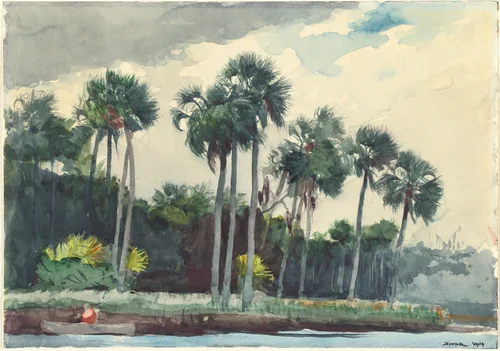 Red Shirt, Homosassa, Florida by Winslow Homer, drawing, 1904