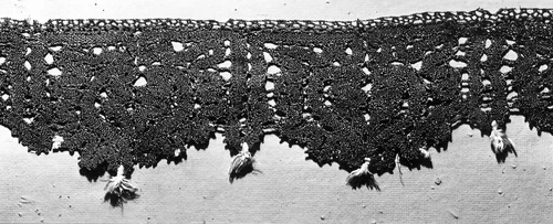 Two Borders by Possibly Hungary, textile, 1701-1750