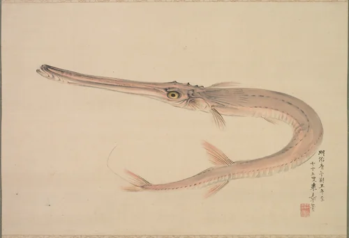 Needlefish (Yagara) by Nakajima Raishō, painting, 1870