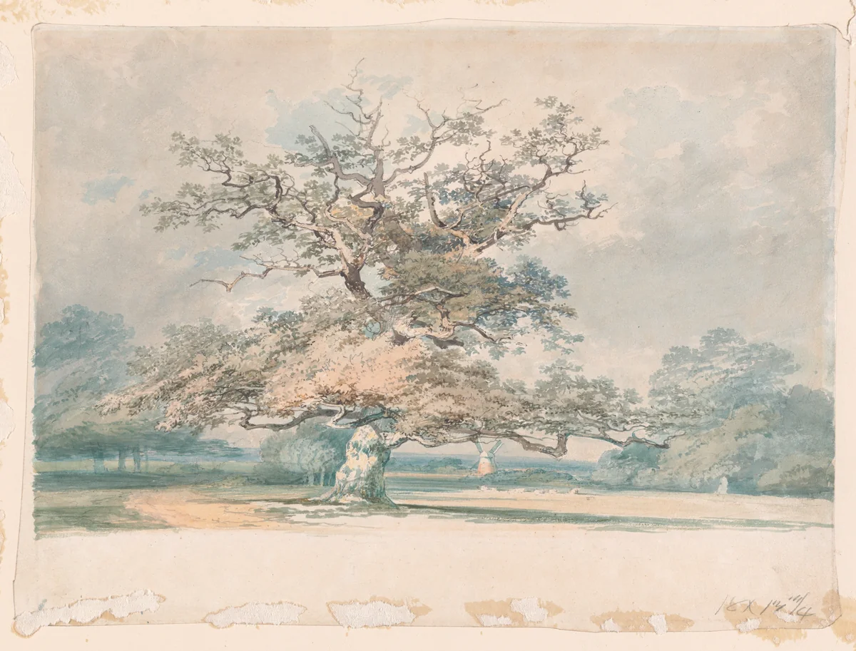 A landscape with an old oak (or beech) tree by Joseph Turner, drawing, 1791-1801