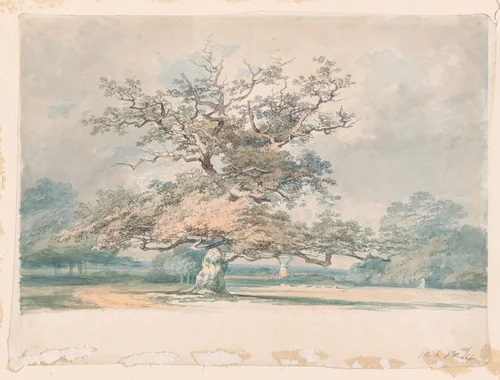 A landscape with an old oak (or beech) tree by Joseph Turner, drawing, 1791-1801
