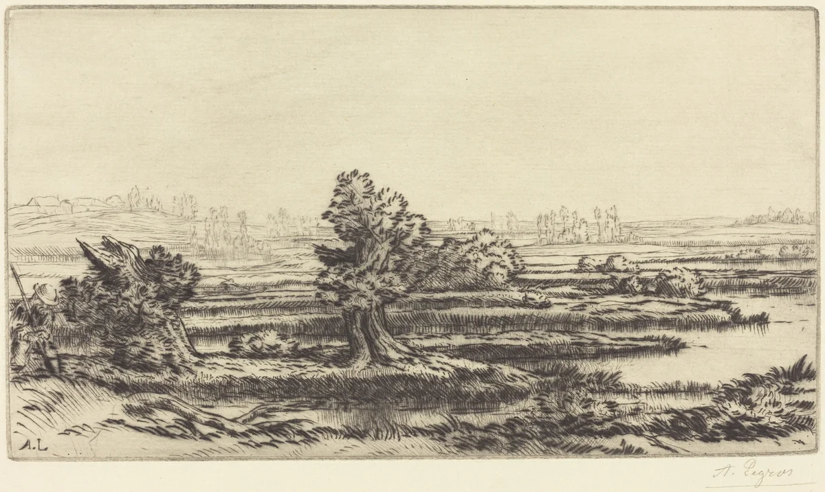 Peat-bogs (Les Tourbieres) by Alphonse Legros, print, 1837-1911