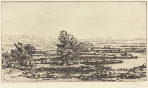 Peat-bogs (Les Tourbieres) by Alphonse Legros, print, 1837-1911