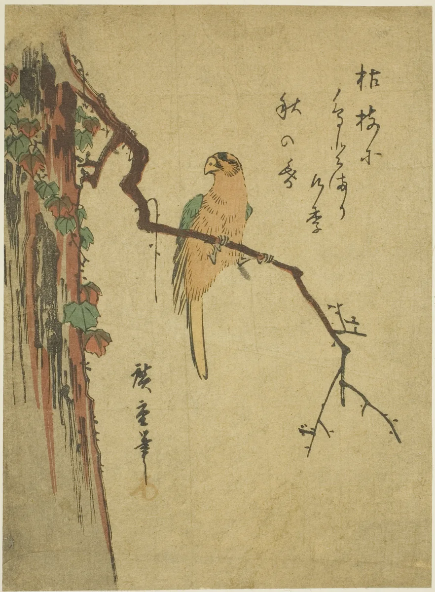 Macaw on ivy-covered tree by Utagawa Hiroshige (歌川広重), print, 1830-1839