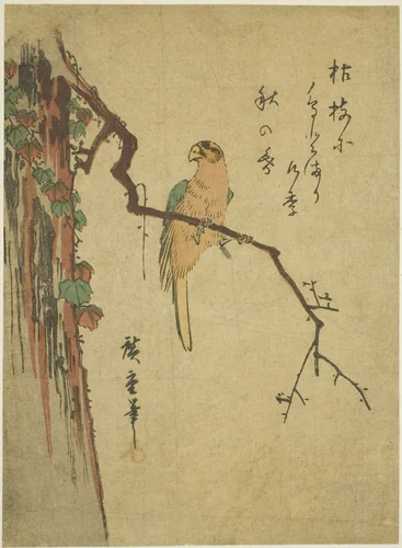 Macaw on ivy-covered tree by Utagawa Hiroshige (歌川広重), print, 1830-1839