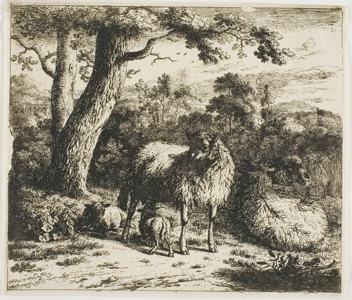 Standing Sheep and Two Lambs by Jan van der Meer de Jonghe, print, 1685