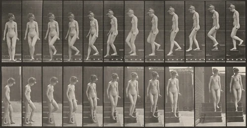 Plate Number 137. Descending stairs and turning around by Eadweard Muybridge, photograph, 1887