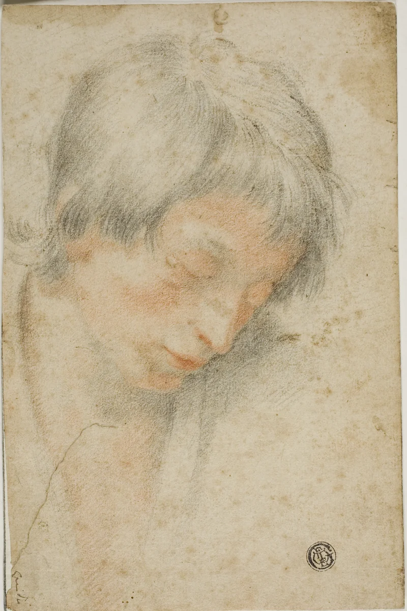 Head of Youth Looking Down by Matteo Rosselli, drawing, 1598-1650