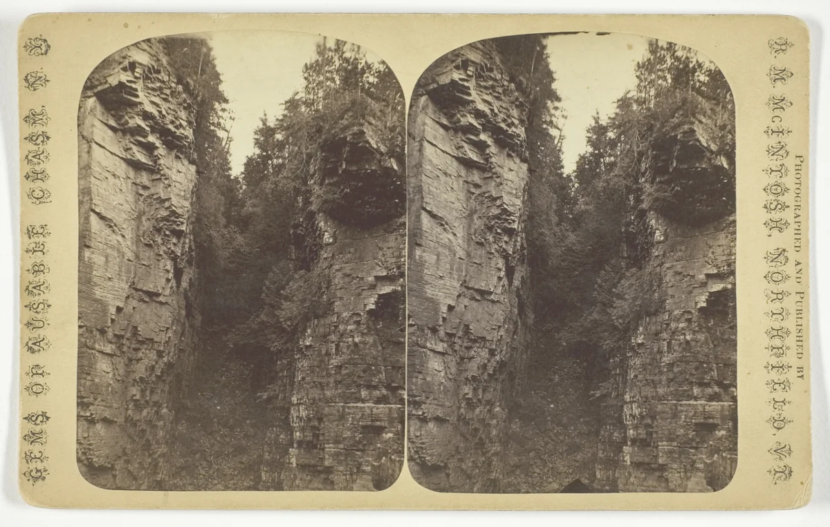 Shady Gorge, No. 1071 from the series "Gems of Ausable Chasm, N. Y." by R. M. McIntosh, photograph, 1875-1899