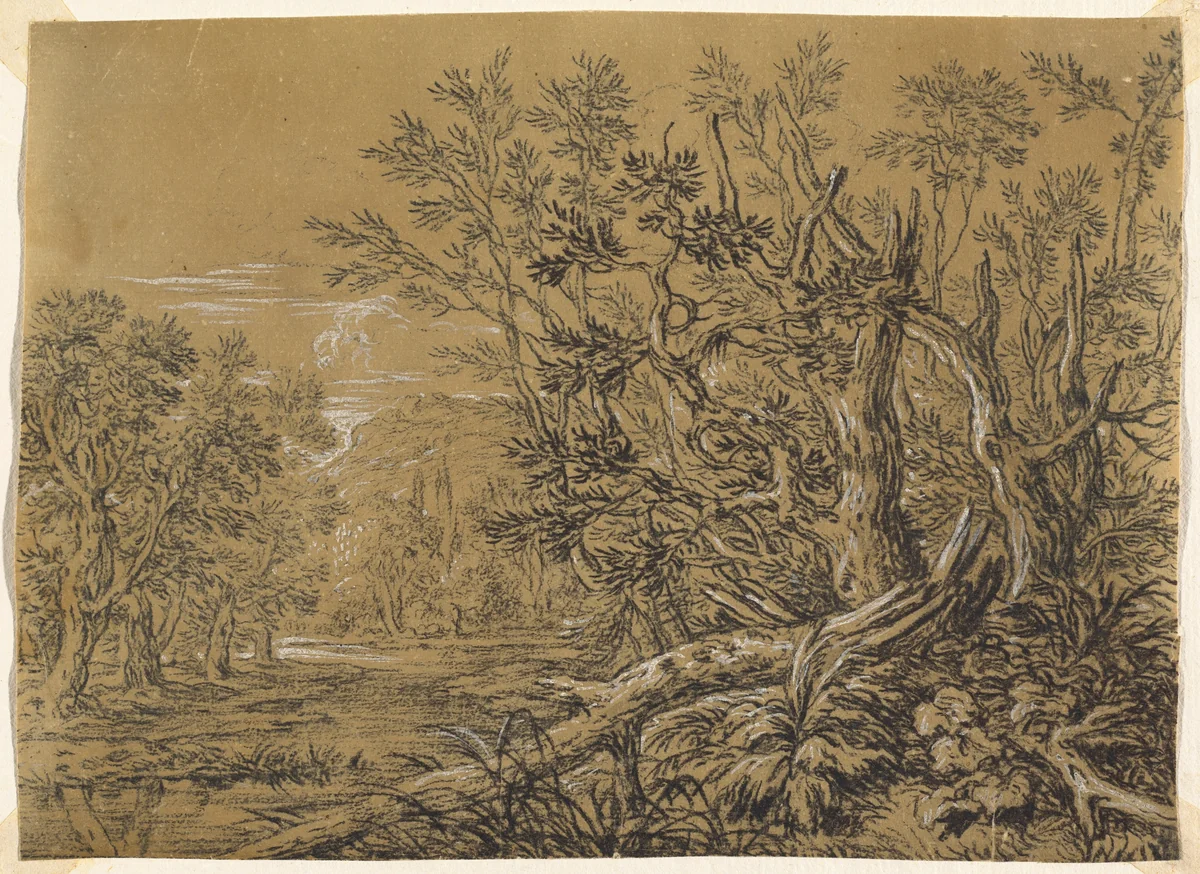 Stream through an Ancient Forest by Jonas Umbach, drawing, 1624-1693