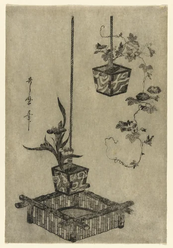 Arrangements of Irises and Morning Glories by Kitagawa Utamaro (喜多川歌麿), print, 1780-1790