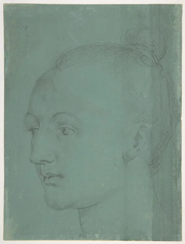 Head of a Young Woman by Albrecht Dürer, drawing, 1522
