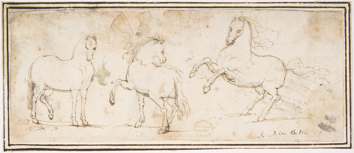 Horses by Francesco Allegrini, drawing, 1624-1663