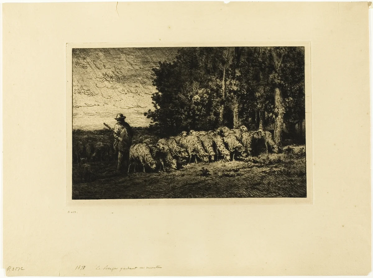Flock of Sheep at the Edge of a Wood by Charles-Émile Jacque, print, 1877