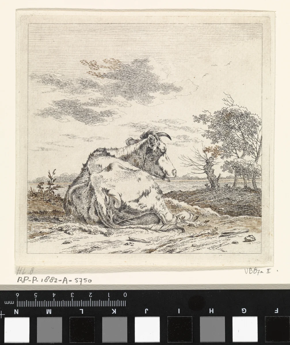 Landschap met liggende koe by Pieter Janson, print, 1780-1851