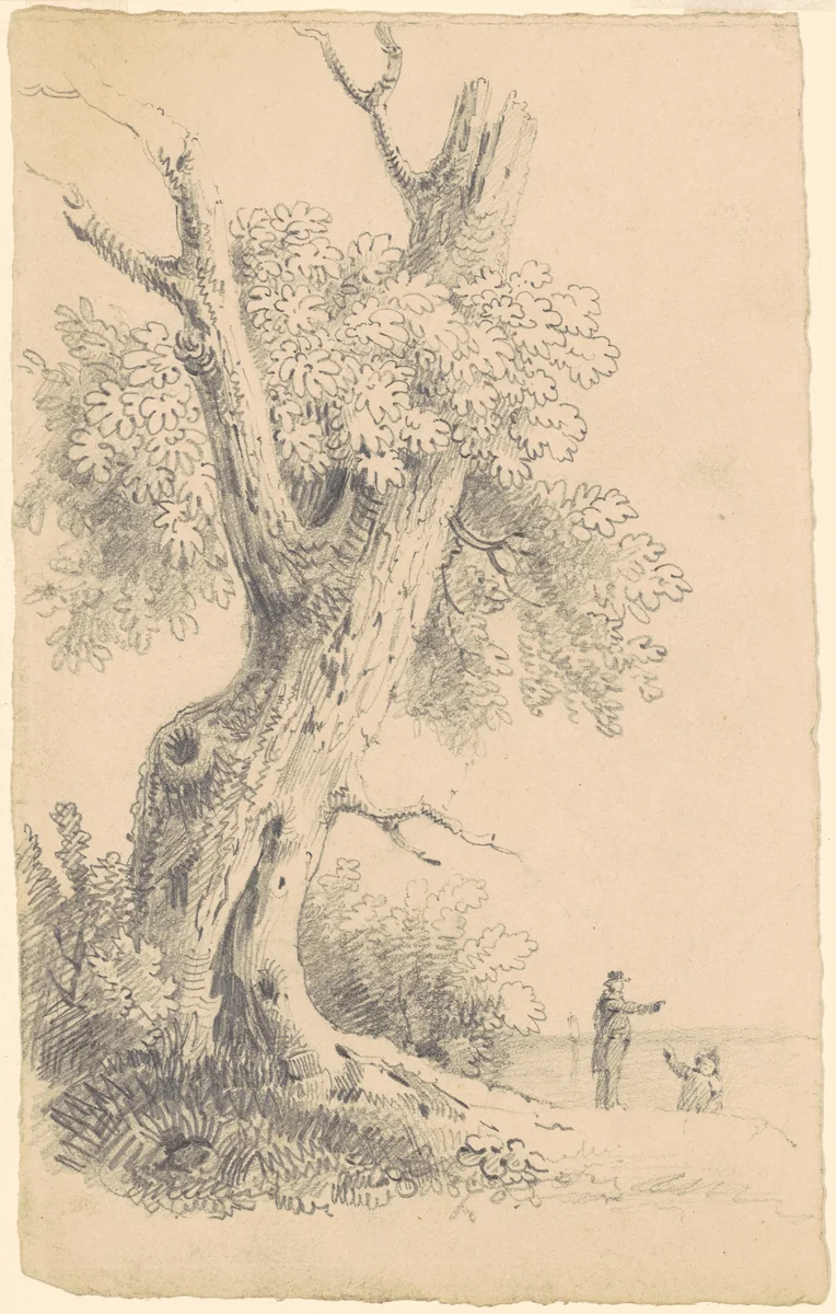 Tree Near the Shore by James Goodwyn Clonney, drawing, 1825-1835