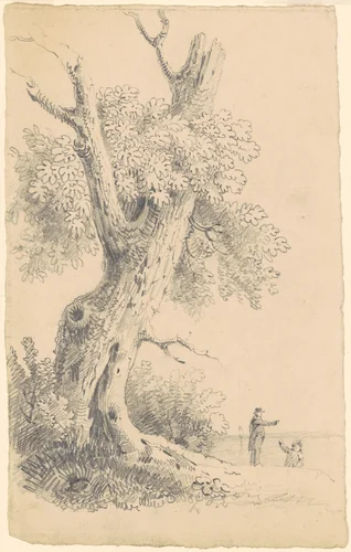 Tree Near the Shore by James Goodwyn Clonney, drawing, 1825-1835