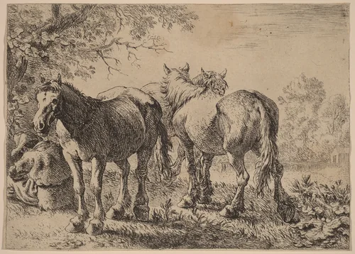 Three Horses in a Field by Pieter van Laer, print, 1636