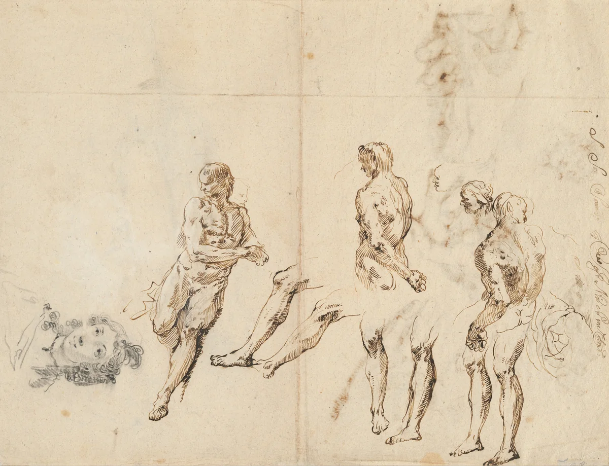 Head of a Woman and Studies of a Male Nude [verso] by Francesco Fontebasso, drawing, 1709-1769