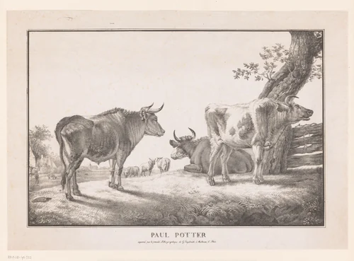 Stieren in een weiland by anonymous, print, 1813-1816