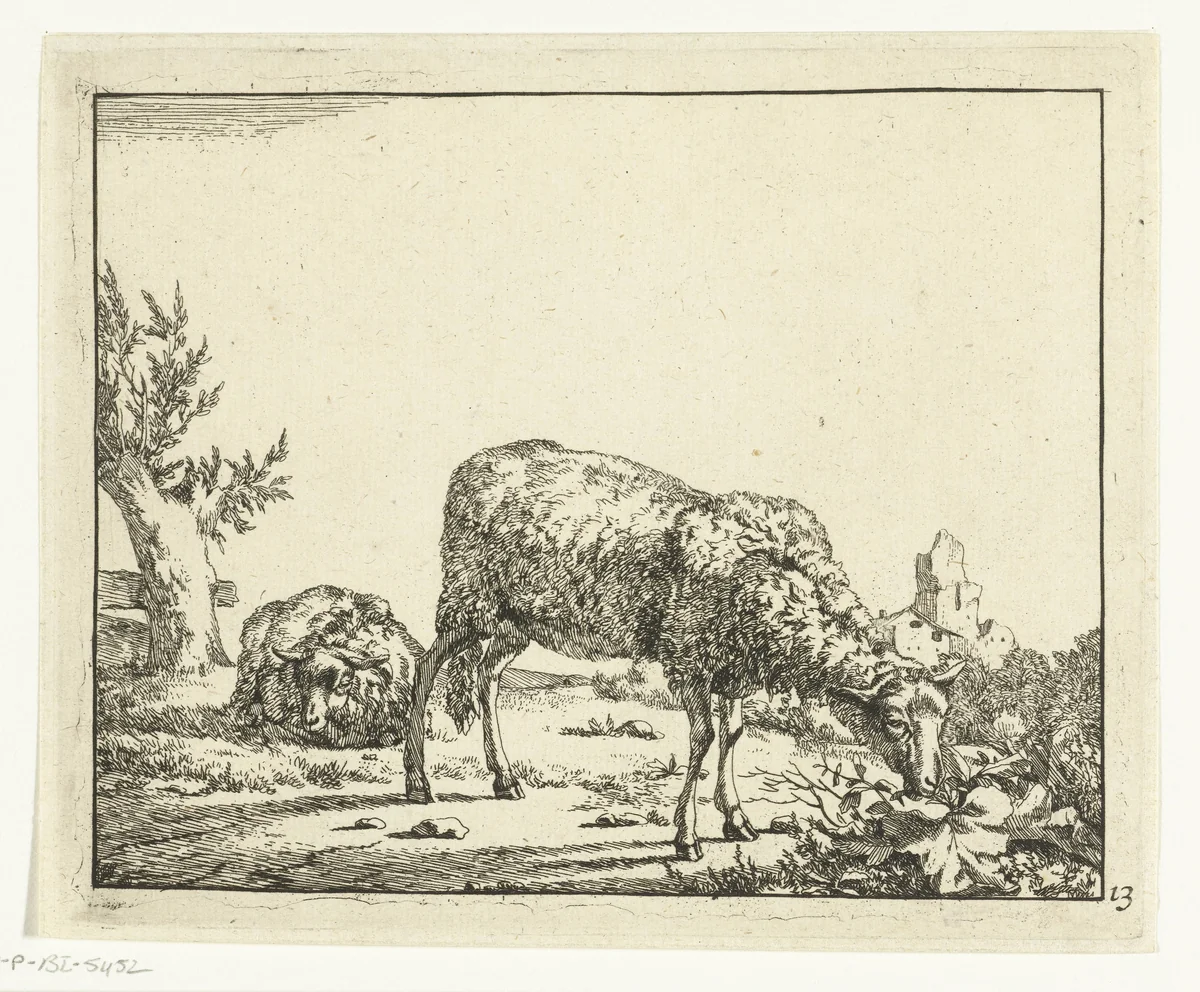 Grazend schaap en liggend schaap bij hek by Marcus de Bye, print, 1664