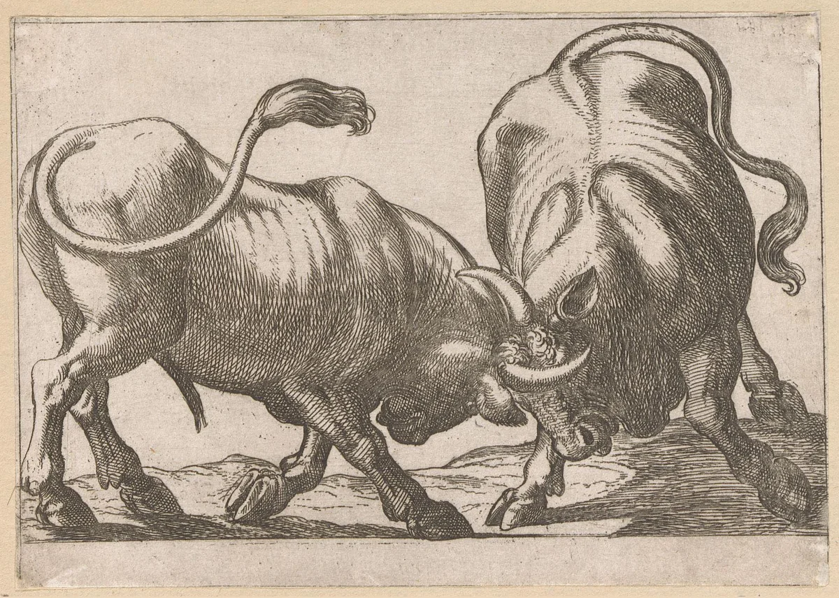 Twee vechtende stieren by Antonio Tempesta, print, 1600