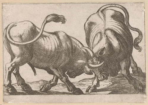 Twee vechtende stieren by Antonio Tempesta, print, 1600