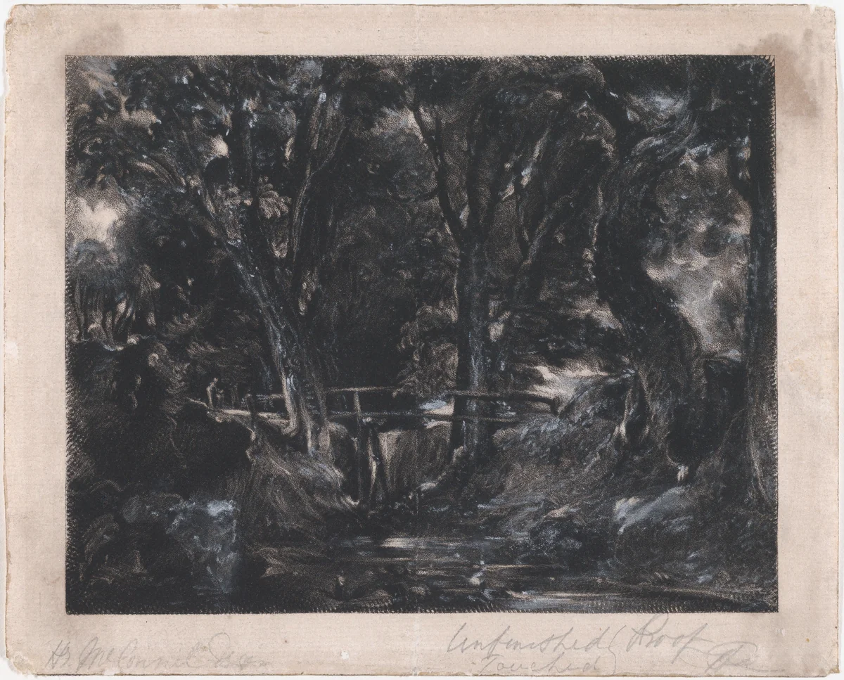 A Dell, Helmingham Park, Suffolk by David Lucas, print, 1830