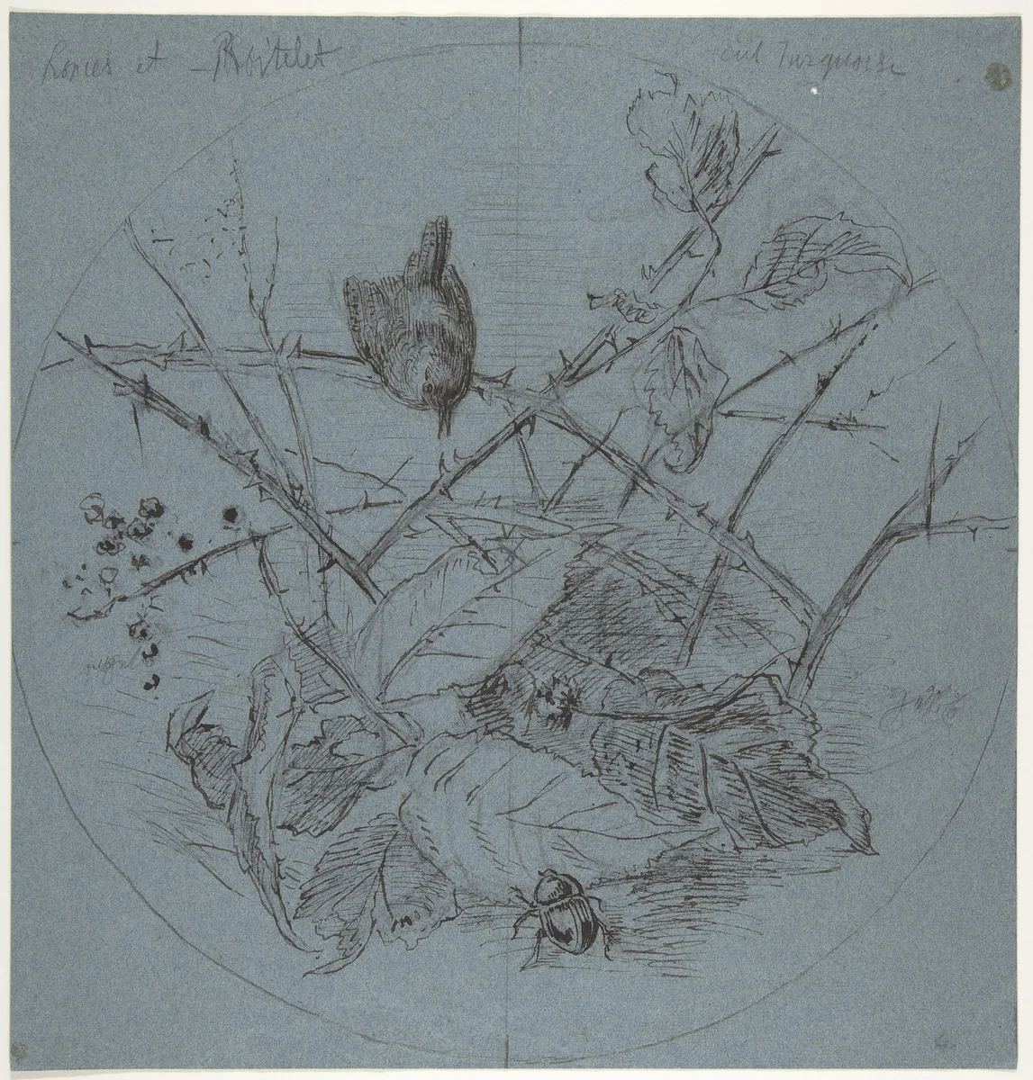 Design for a Plate by Karl Bodmer, drawing, 1825-1893