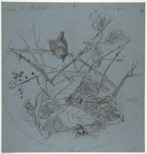 Design for a Plate by Karl Bodmer, drawing, 1825-1893