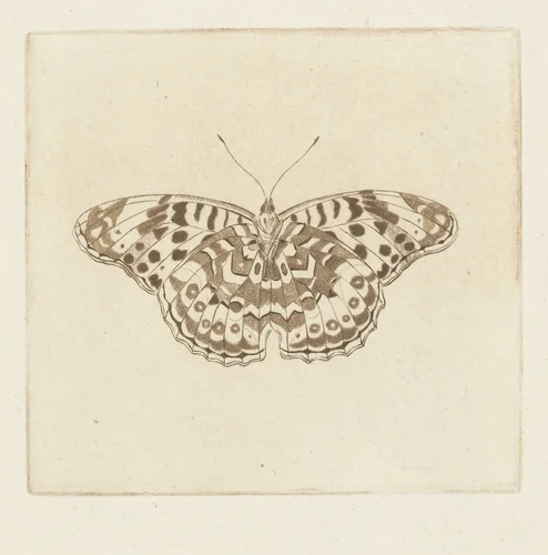Vlinder by Cornelis Ploos van Amstel, print, 1736-1798
