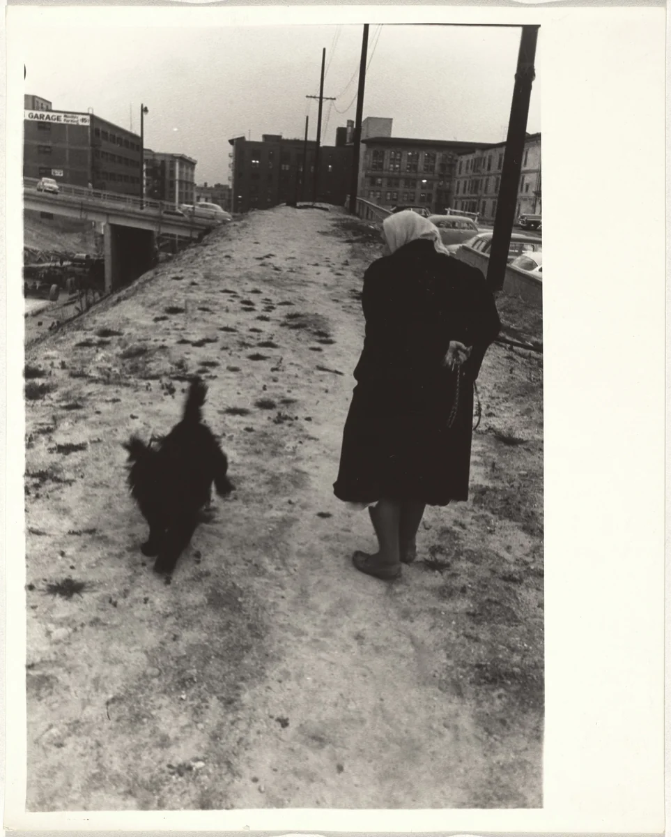 Woman with dog--Los Angeles by Robert Frank, photograph, 1955-1956