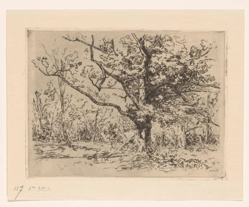 Groep eikenbomen by Carel Nicolaas Storm van 's-Gravesande, print, 1880