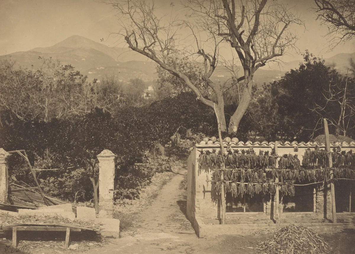 Agricultural Scene with Mountains by Louis Crette, photograph, 1855